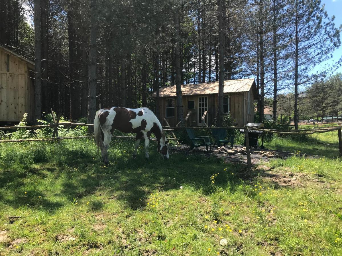 D & K Ranch “Max'S Cabin” Interlaken エクステリア 写真